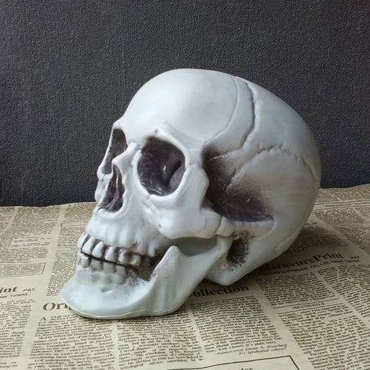 Calavera decorativa realista de plástico – accesorio de terror para Halloween
