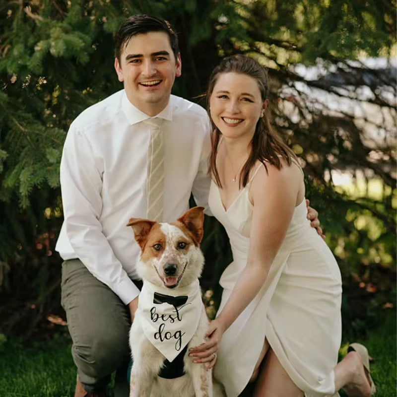 Accesorio de perro para fotos y decoración de bodas